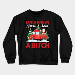 Santa Knows You've Been A Bitch Funny Christmas T-shirt Crewneck Sweatshirt